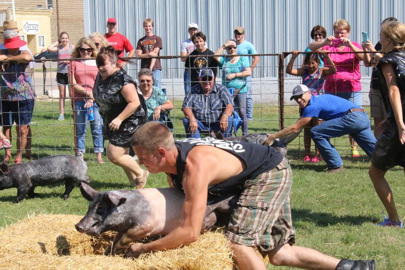 USD 399 FFA Grease Pig Contest